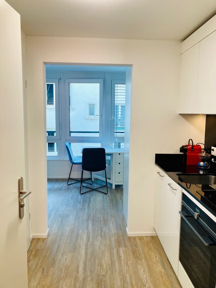 Zürich: Very Nice 1 Room Apartment - Zürich