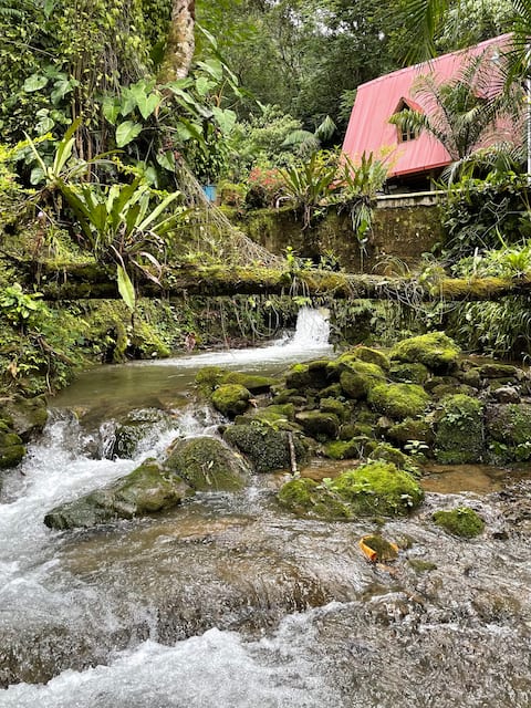 The River Lodge