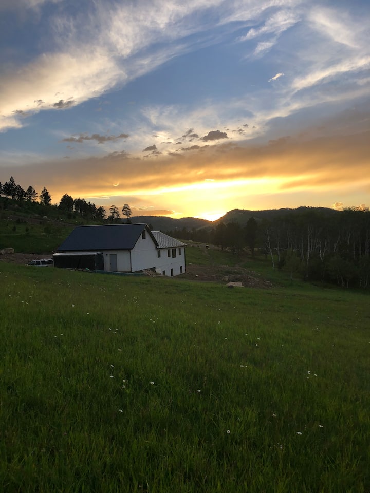 Peaceful Black Hills home, with views to remember! Houses for Rent in