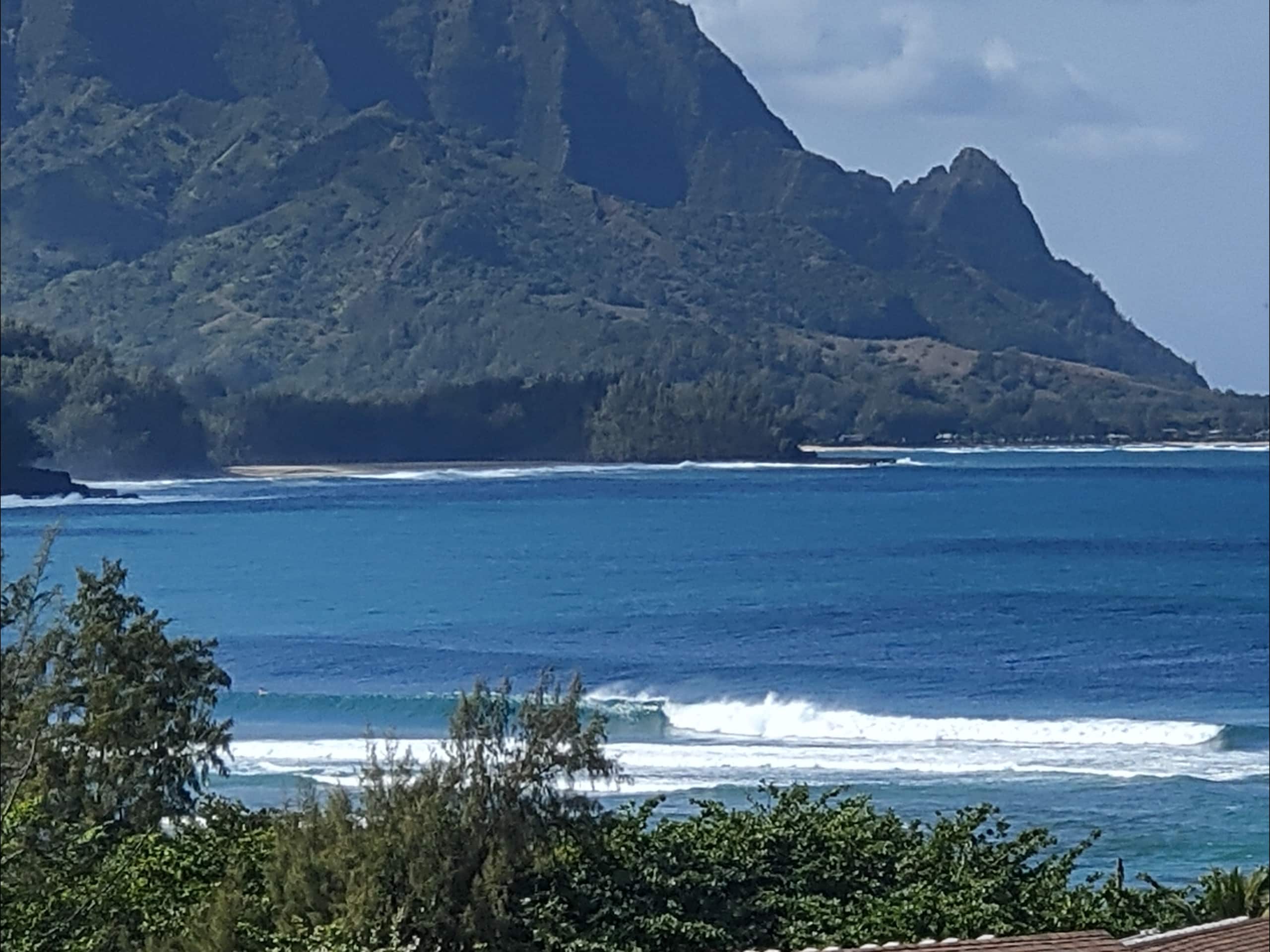 Resort in Princeville · ★4.62 · 1 bedroom · 1 bed · 1 private bath - Image 14