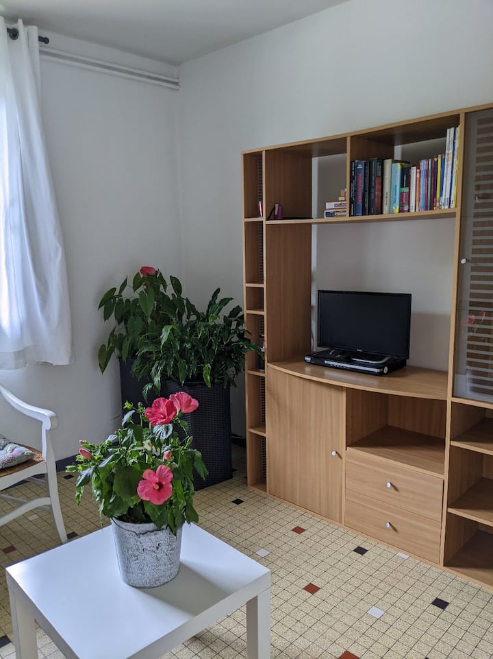 Appartement Avec Jardin - Lac de Pareloup