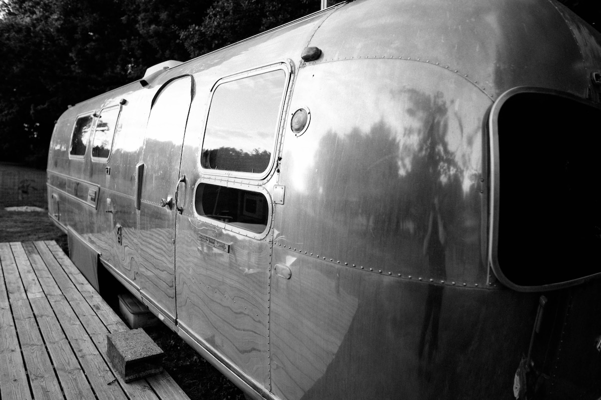 A vintage Airstream, crafted in 1969, gleams in natural light, showcasing its polished exterior. The trailer rests on a wooden platform, blending with surrounding greenery. Its distinct windows reflect the nearby trees, enhancing the connection with the outdoor environment.