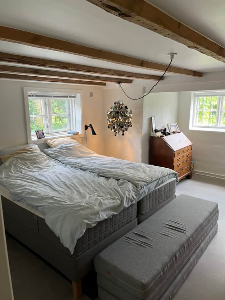 Habitación 1