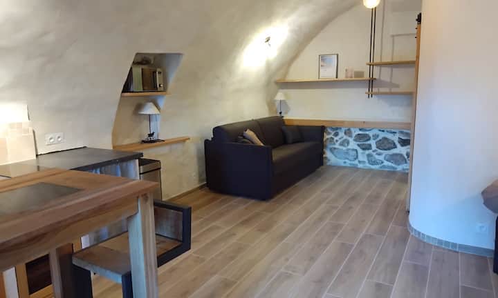Beau Studio , Terrasse Fleurie Et Parking Gratuit - Lac de l'Ascension