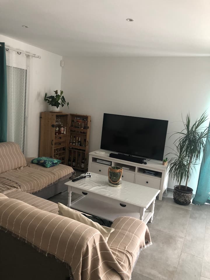 Magnifique Villa Avec Piscine Et Jacuzzi - Montpellier