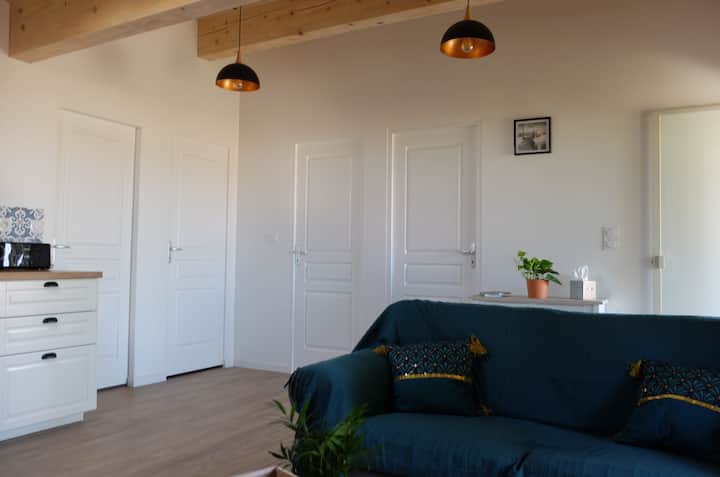 Gîte, Proche Toulouse Parking Privé Wifi - Nailloux