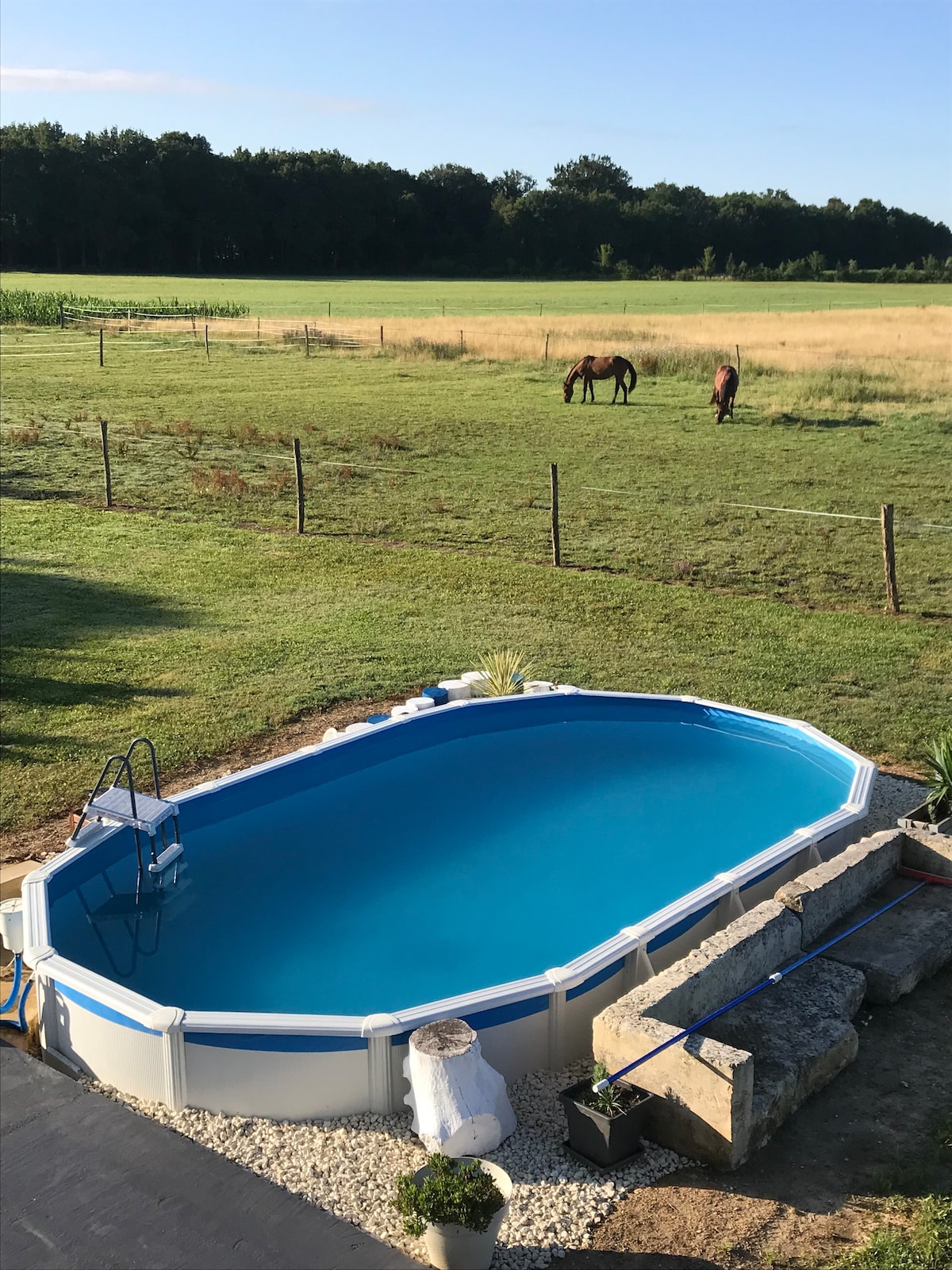 A private above-ground pool is visible in the foreground, surrounded by stone and gravel. In the background, a grassy field is seen with two horses grazing peacefully. A wooden fence encloses the area, creating a serene outdoor environment.