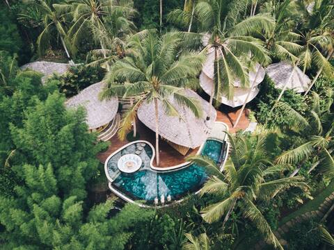 Harmony House, Bamboo House with Pool view