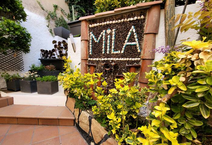 Mila’s secret garden gallery image 3