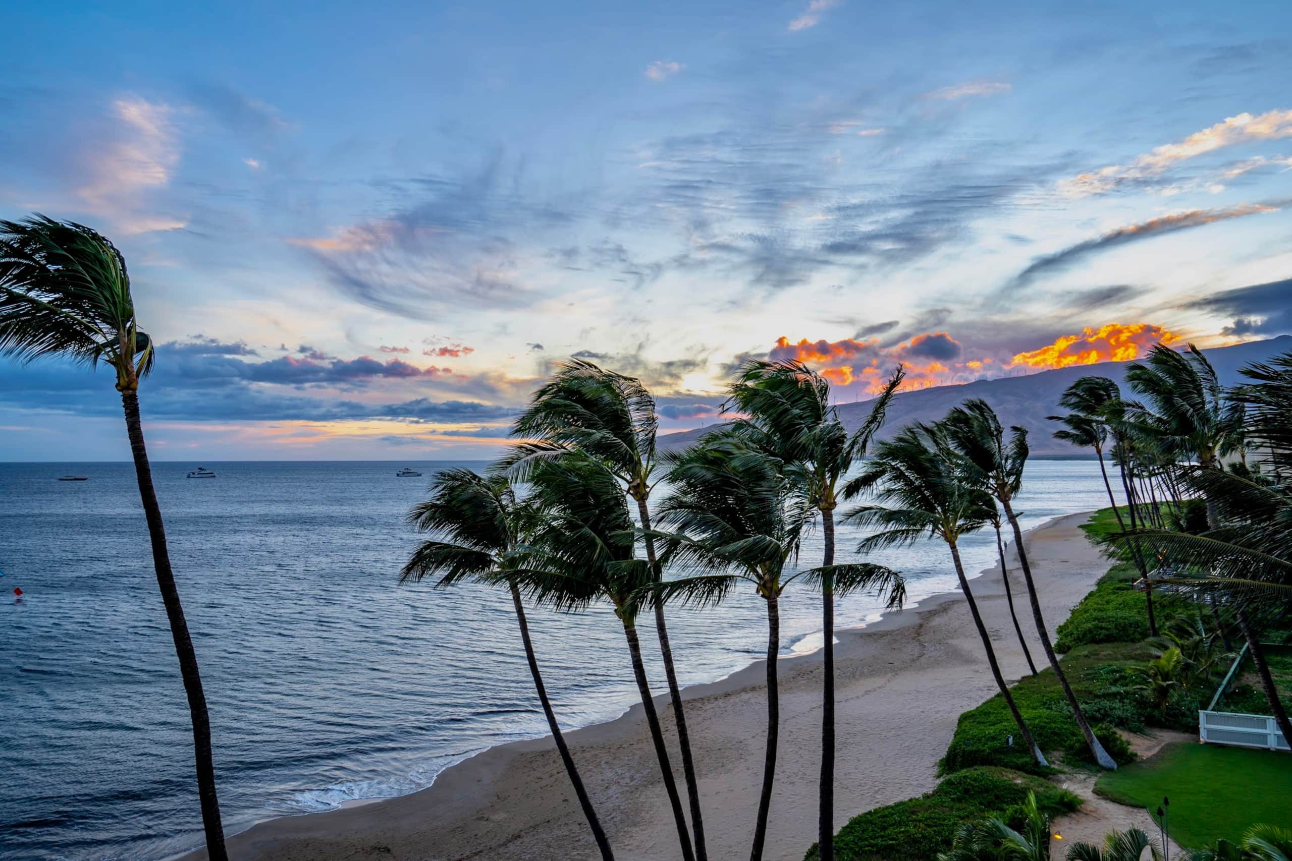 Ocean Front With Ocean View! AC, King Bed, 2 Bath! - Image 22