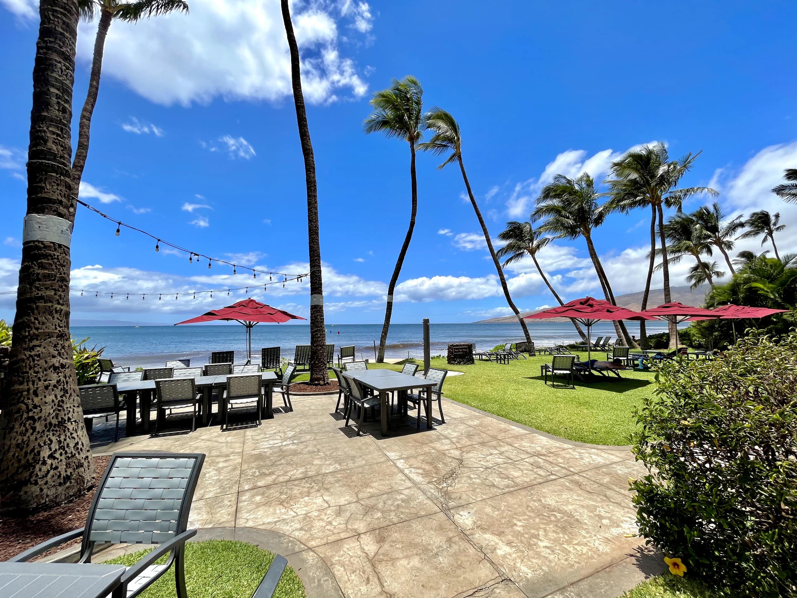 Ocean Front With Ocean View! AC, King Bed, 2 Bath! - Image 16