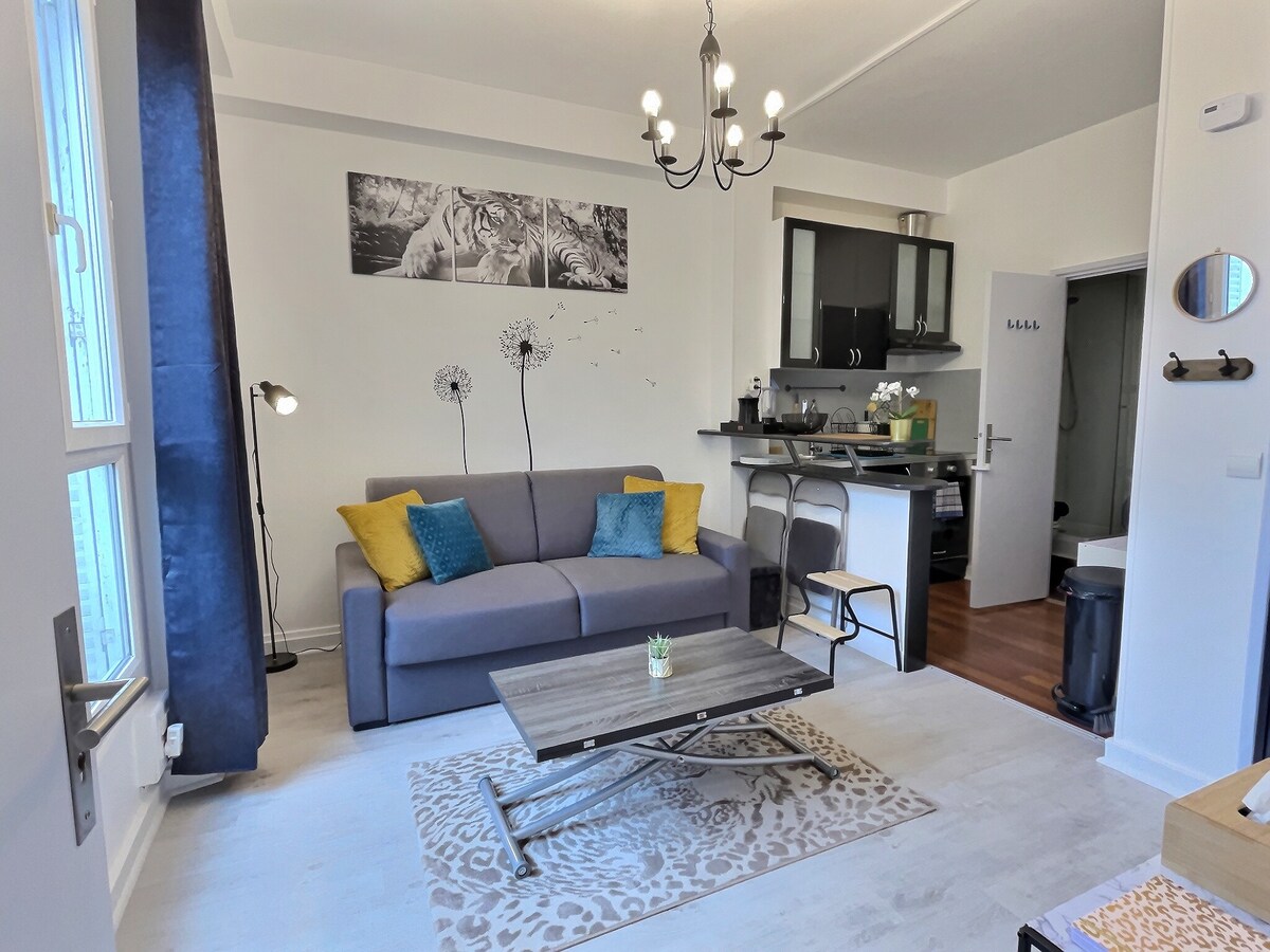 Premium 💎apartment Les Félins🐅Gare⭐️Parking Apartments for Rent in