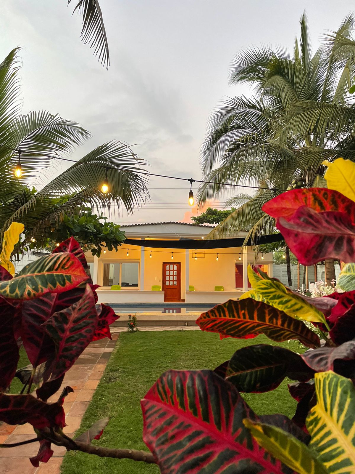 A vibrant exterior view captures a charming house framed by tropical foliage. Soft lighting is suspended above the outdoor space, enhancing the inviting ambiance. Lush green grass complements the colorful plants in the foreground while palm trees create a serene backdrop.