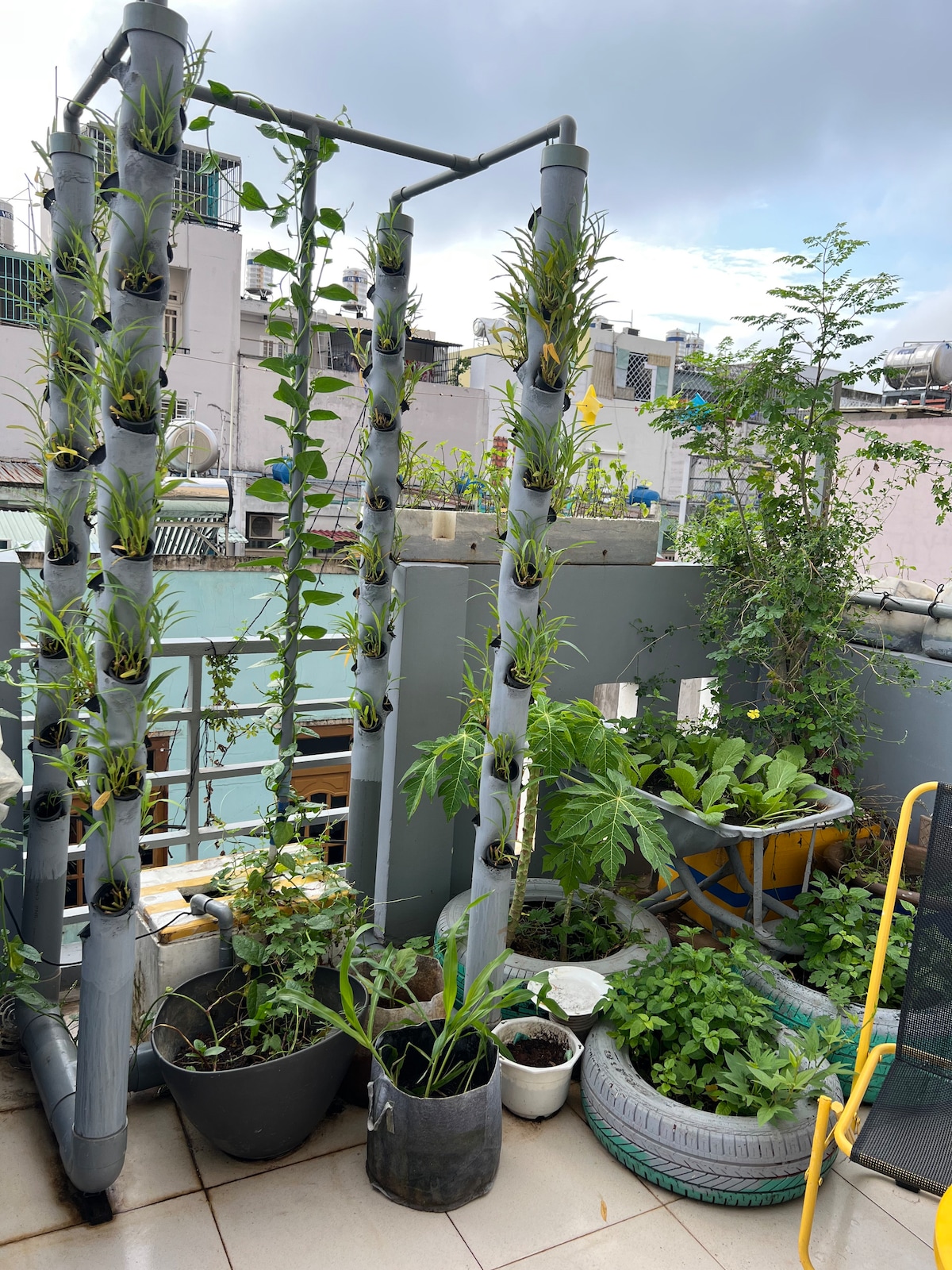 A balcony garden is displayed, featuring vertical planters and a variety of leafy green plants in various pots. The space is surrounded by light wraps of greenery, with glimpses of neighboring buildings and cloudy skies in the background.