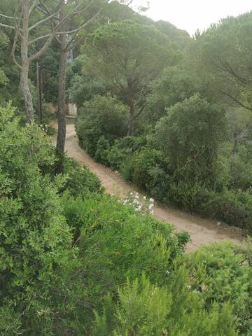 Modern 180° Sea View Villa in Pedralta, Sant Feliu gallery image 4