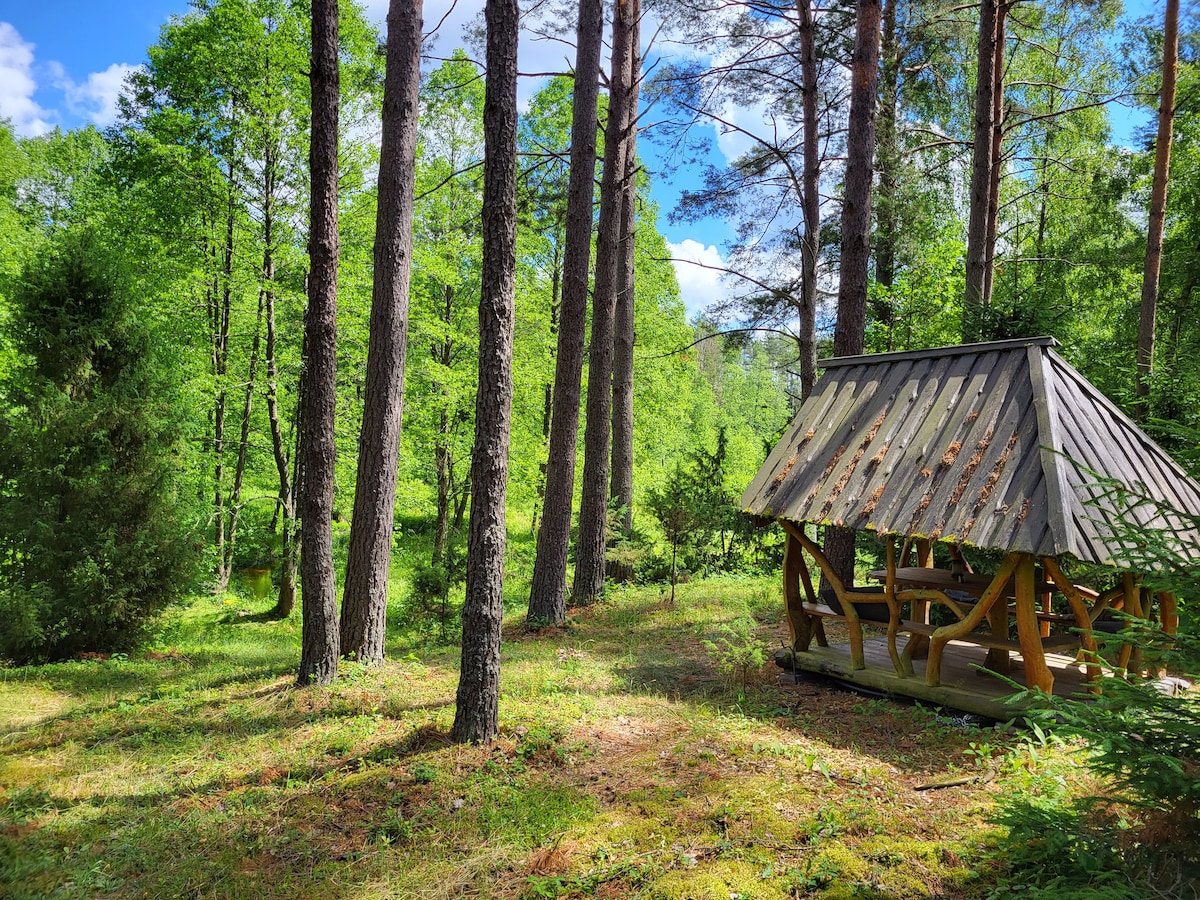 A wooden shelter, featuring a picnic-style table and benches, is situated amidst tall trees in a lush green forest. The ground is covered with soft grass and moss, while sunlight filters through the tree canopy, creating a serene outdoor space.