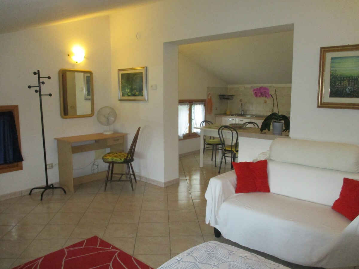 otvoreni prostor dnevni boravak s 2 kreveta 