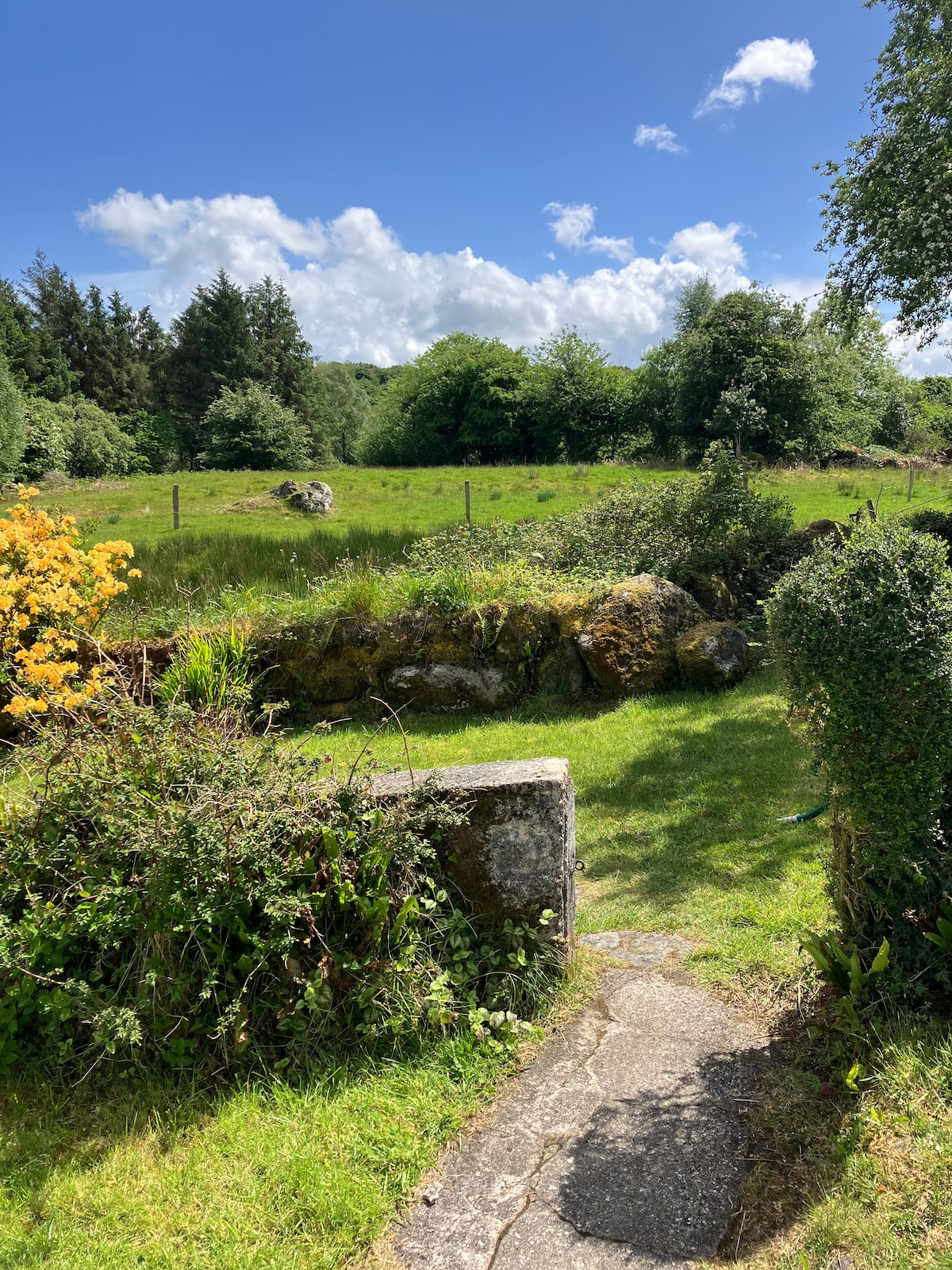 A garden pathway leads through lush greenery, bordered by flowering shrubs and rocks. The field beyond is spacious, with a backdrop of trees under a bright blue sky scattered with clouds. This peaceful setting offers a glimpse of nature's tranquility.