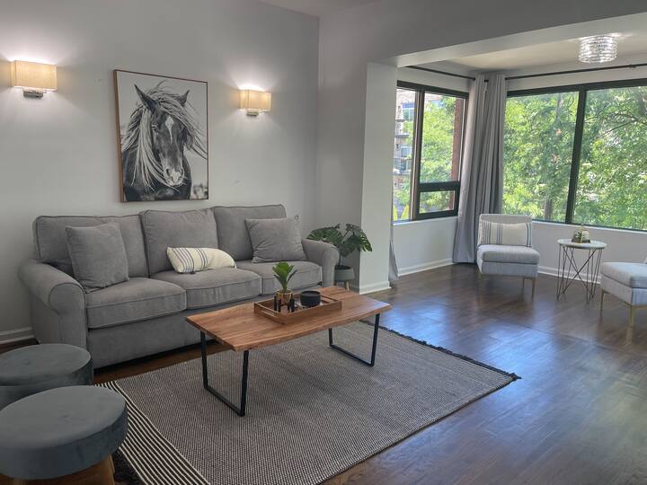 Safest Area NEW in Roscoe Village next to park! Condominiums for Rent