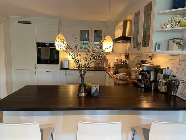 4 bedroom apartment 3 stops from Oslo city center gallery image 5