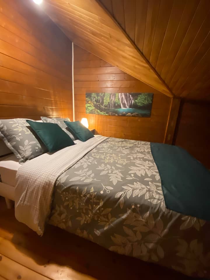 Dhomë 2 me ajër të kondicionuar 