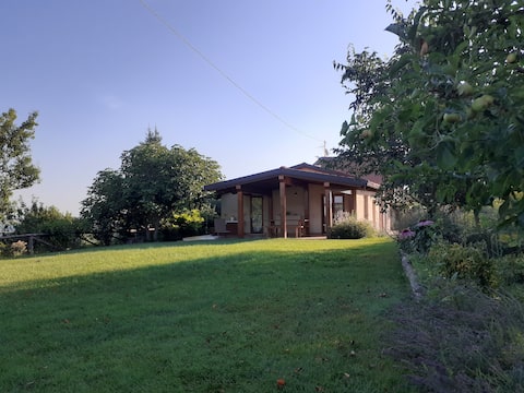 Gatti di Langa Vacation Home