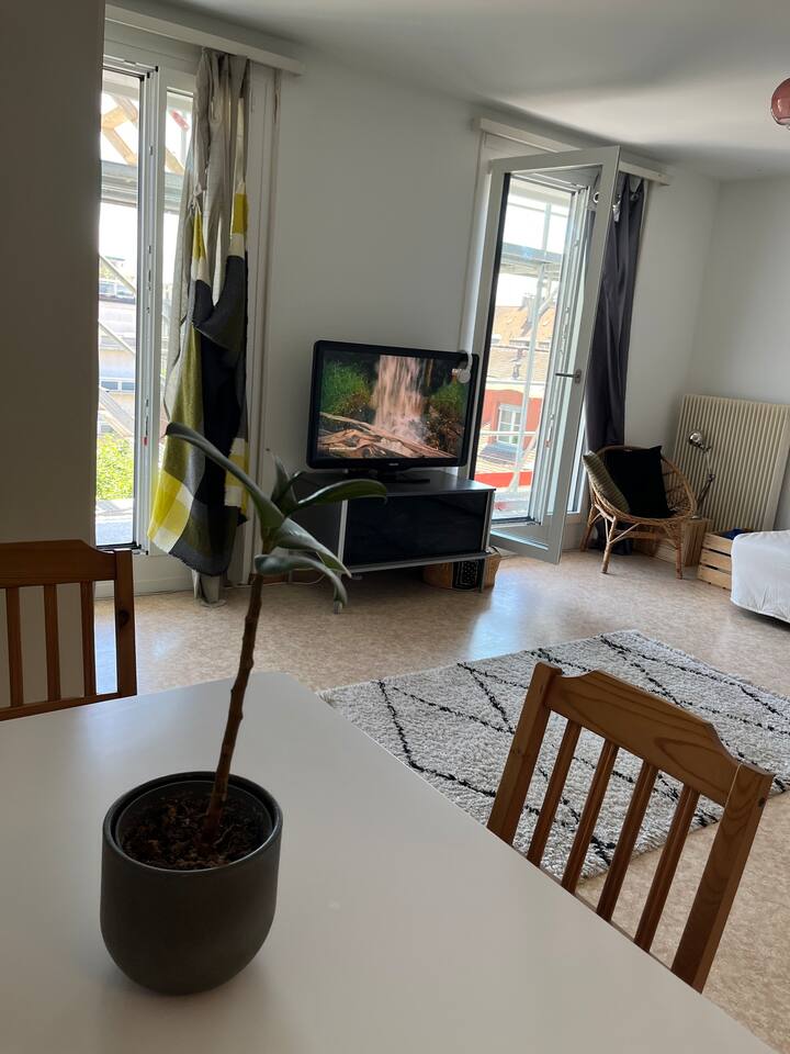 Studio in the heart of Lausanne Condominiums for Rent in Lausanne