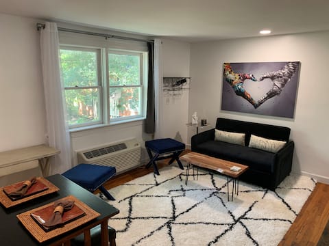 Top Airbnb: 1 BR Condo in Cameron Village *Pet Friendly* in Cameron Village