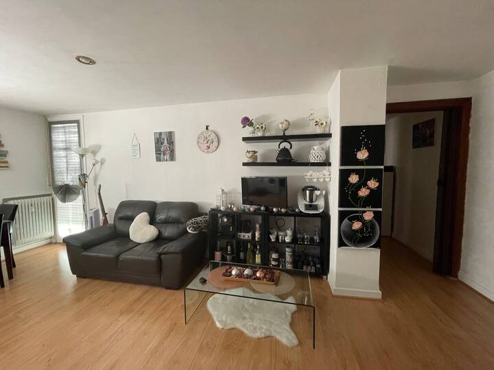 Penthouse in Pamplona (bullring) Apartments for Rent in Pamplona