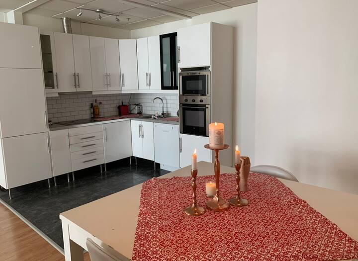 Lovely, Heart of City, 1bedroom rental in Oslo Apartments for Rent