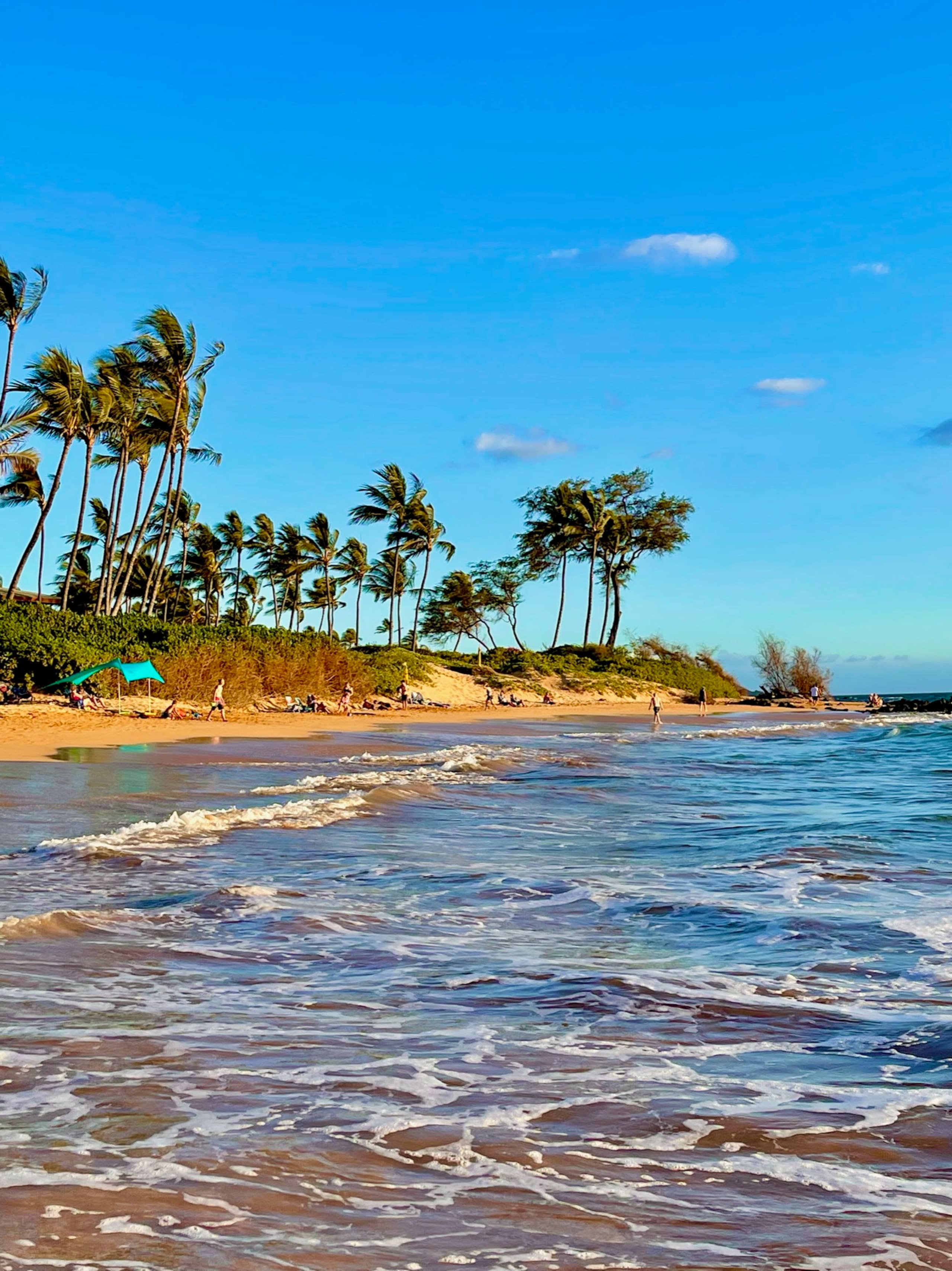 Condo in Kihei · ★4.98 · 1 bedroom · 2 beds · 2 baths - Image 8