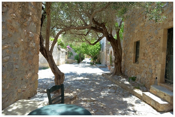 A cobblestone path is framed by ancient olive trees with twisting branches. Natural light filters through the greenery, gently illuminating the rustic stone buildings that line the street. A small green table and chair are positioned in the foreground, inviting moments of relaxation.