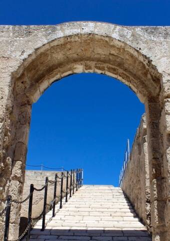 New – Primo: All on one level – King beds gallery image 3