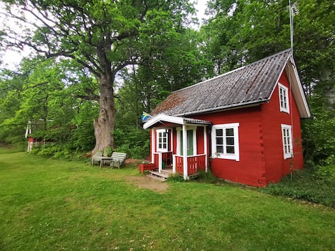 Lovely Swedish Cottage house