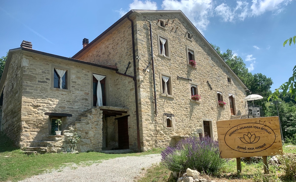 The rustic stone farmhouse features multiple windows adorned with white curtains, offering views of the surrounding nature. Colorful flower boxes decorate the exterior, and a wooden sign with a logo is positioned near a lavender field. The property is framed by trees, creating a serene atmosphere.