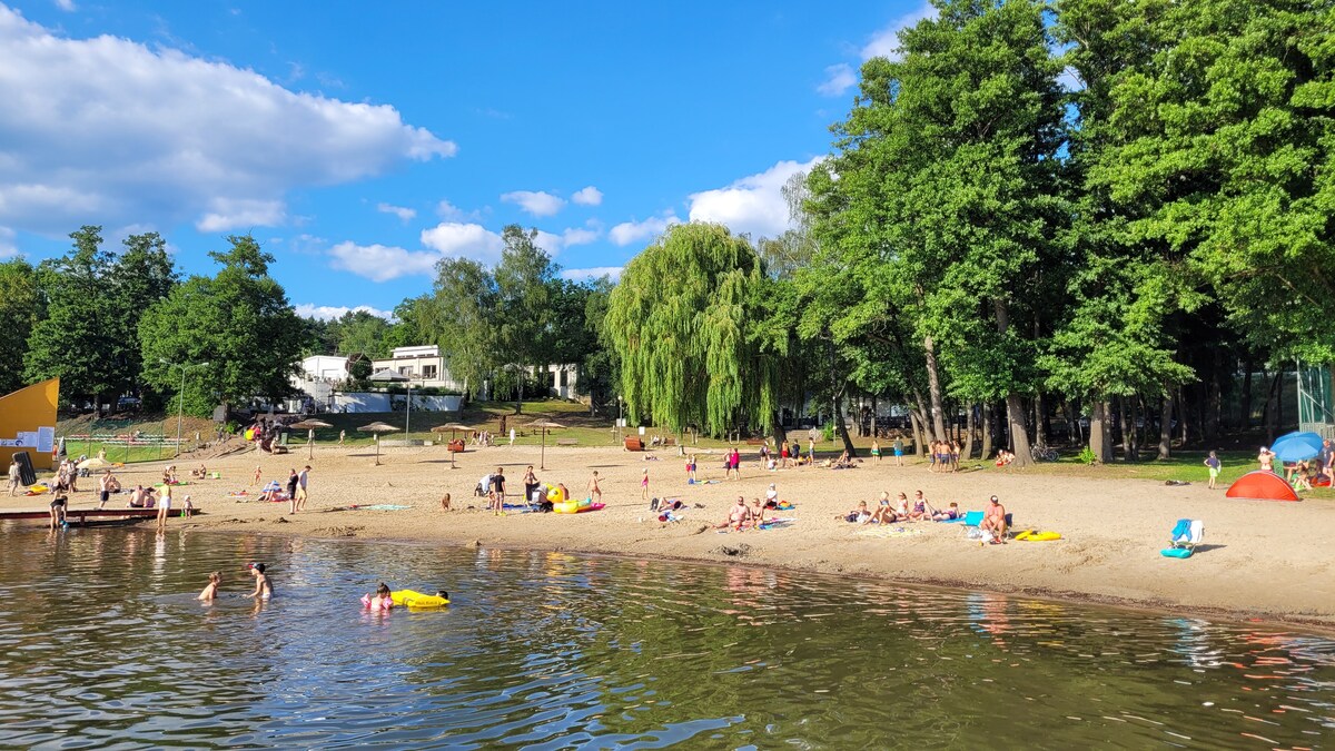 A sandy beach scene is depicted, with numerous sunbathers relaxing on towels. The shoreline is lined with green trees, providing shaded areas. In the distance, a recreational building and colorful tents are visible. People can be seen enjoying the water, contributing to a lively atmosphere.