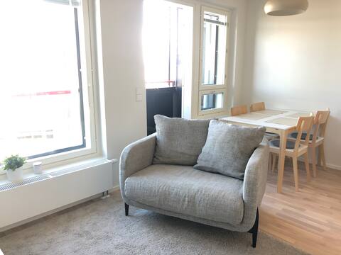 Fresh, new studio; good location and parking space