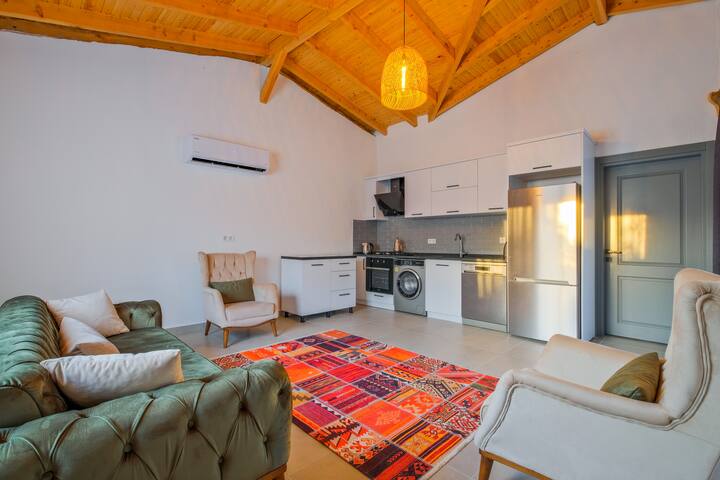 Luxury Villa With Private Pool And Garden 1 - Kayaköy