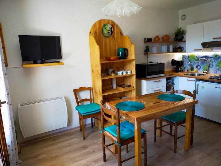 Appartement T2 " Le Studio De Nanou " - Barcelonnette