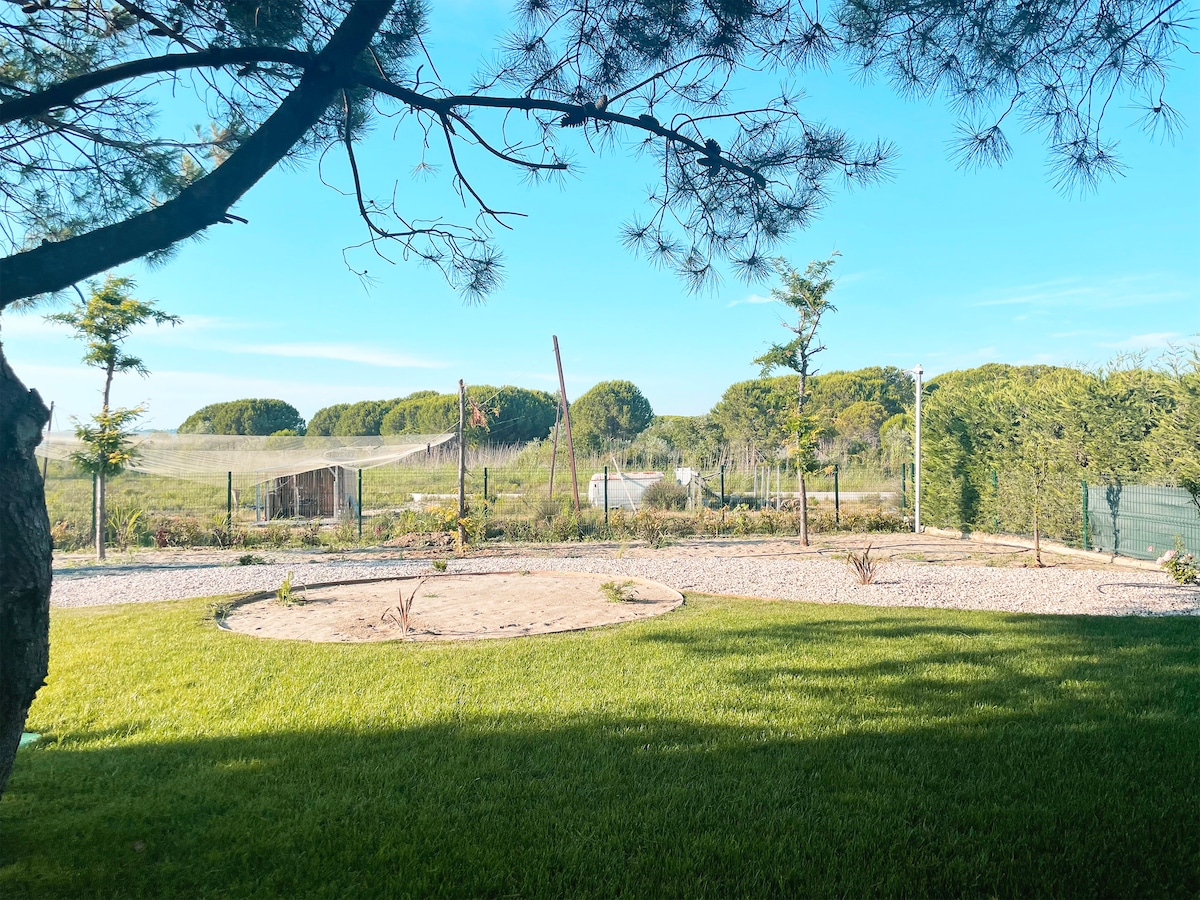 A spacious outdoor area is presented, featuring a circular sandy space surrounded by lush green grass. In the background, gentle hills are visible, bordered by a fence and dotted with trees. A clear blue sky adds to the serene landscape.