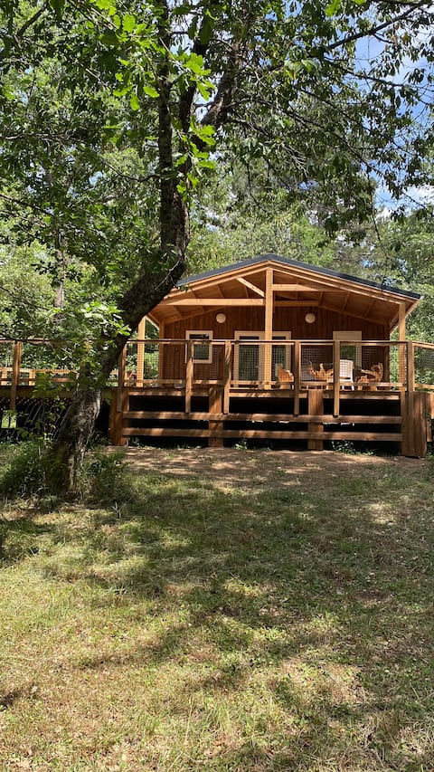 Luxury CHALET U CARACUTU