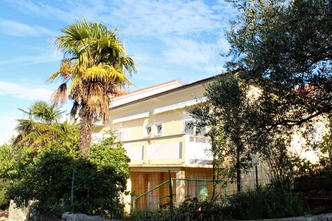 Apartment in Lun (Ivan)