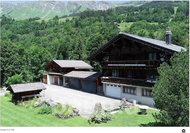 Appartement Cosy En Résidence, Région Glacier 3000 - Les Diablerets