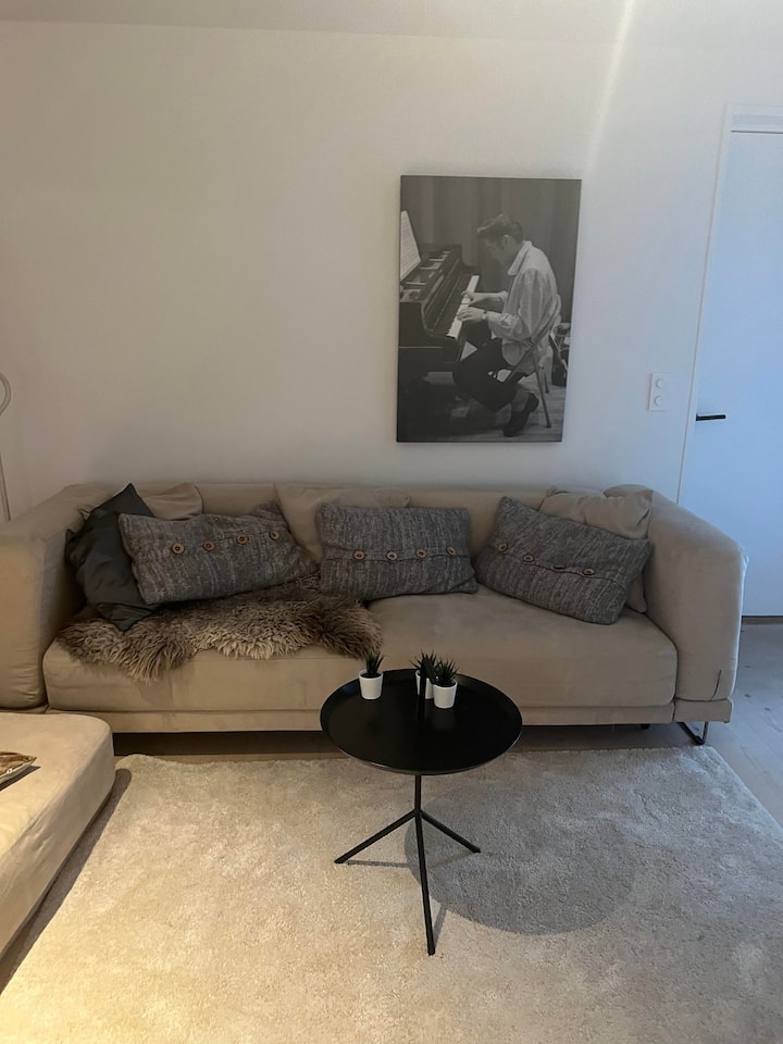 Praktisk Leilighet Nær Sjøen Med Gratis Parkering - Oslo