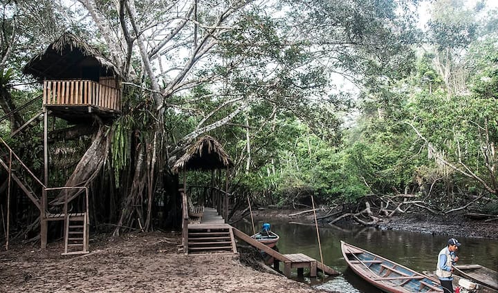 Green Trip "Welcome To Your Unforgettable Journey" - Tarapoto