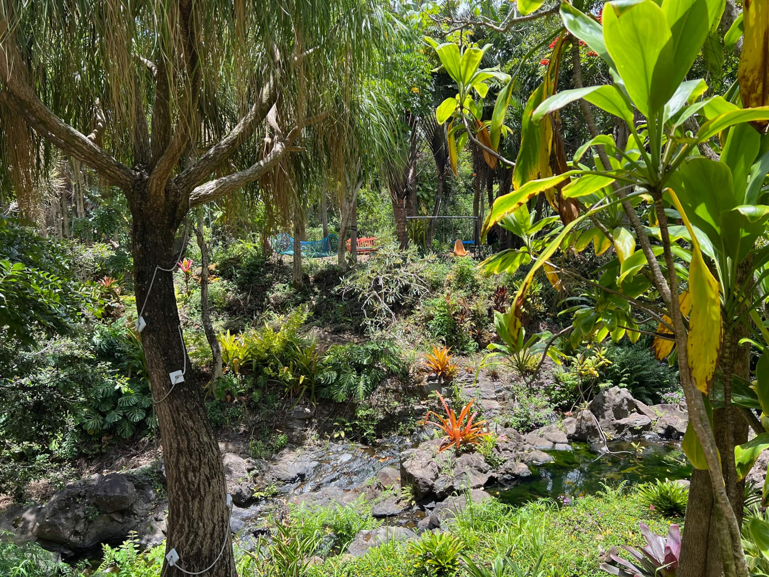 Inspired 1-BR, Magic Gardens, Stream and Waterfall - Photo 17