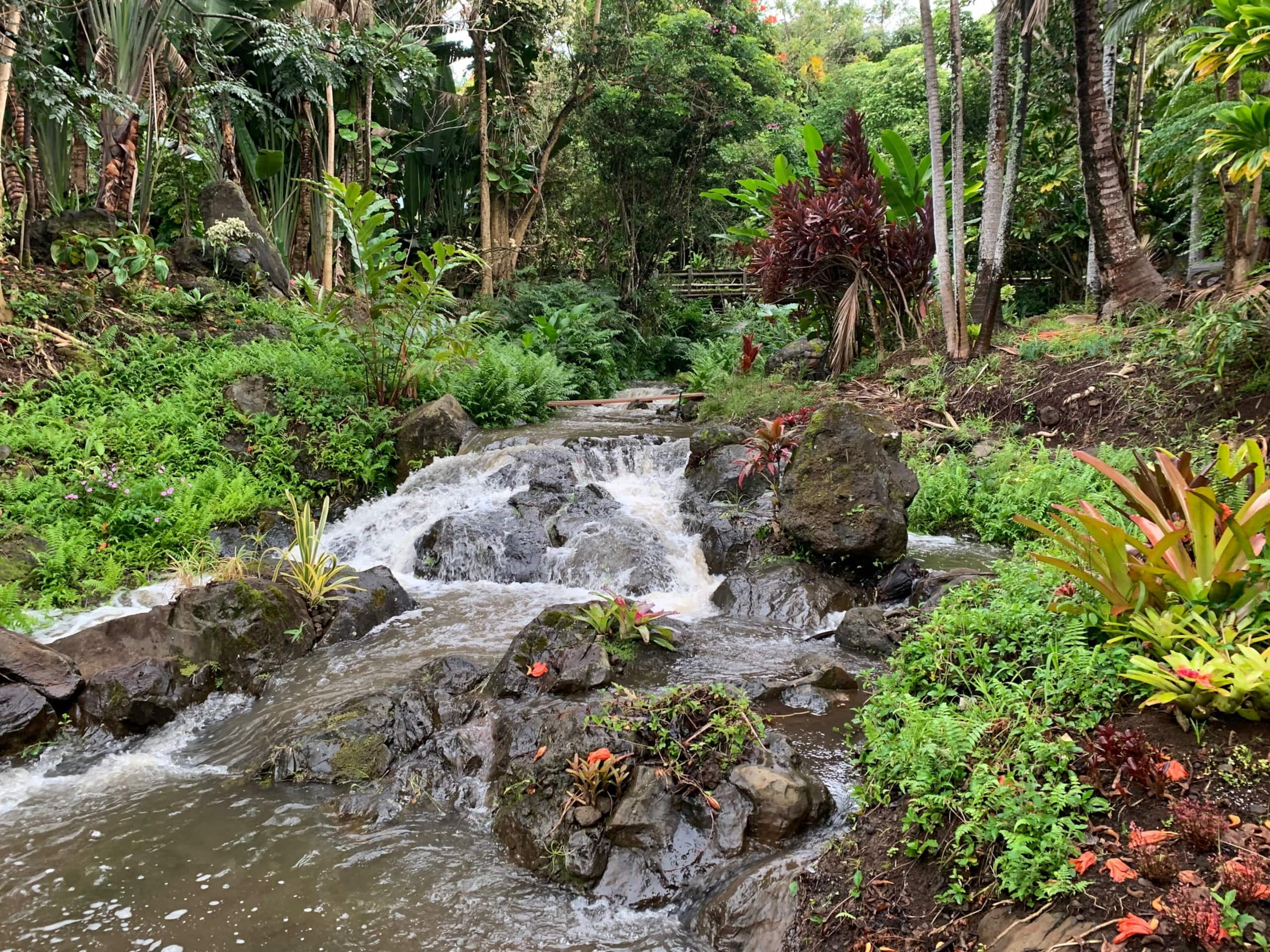 Inspired 1-BR, Magic Gardens, Stream and Waterfall - Photo 14