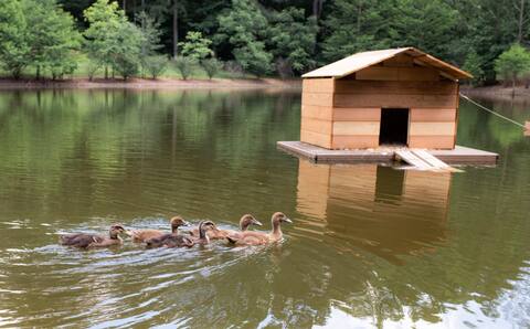 Cozy Cottage on Secluded Pond.