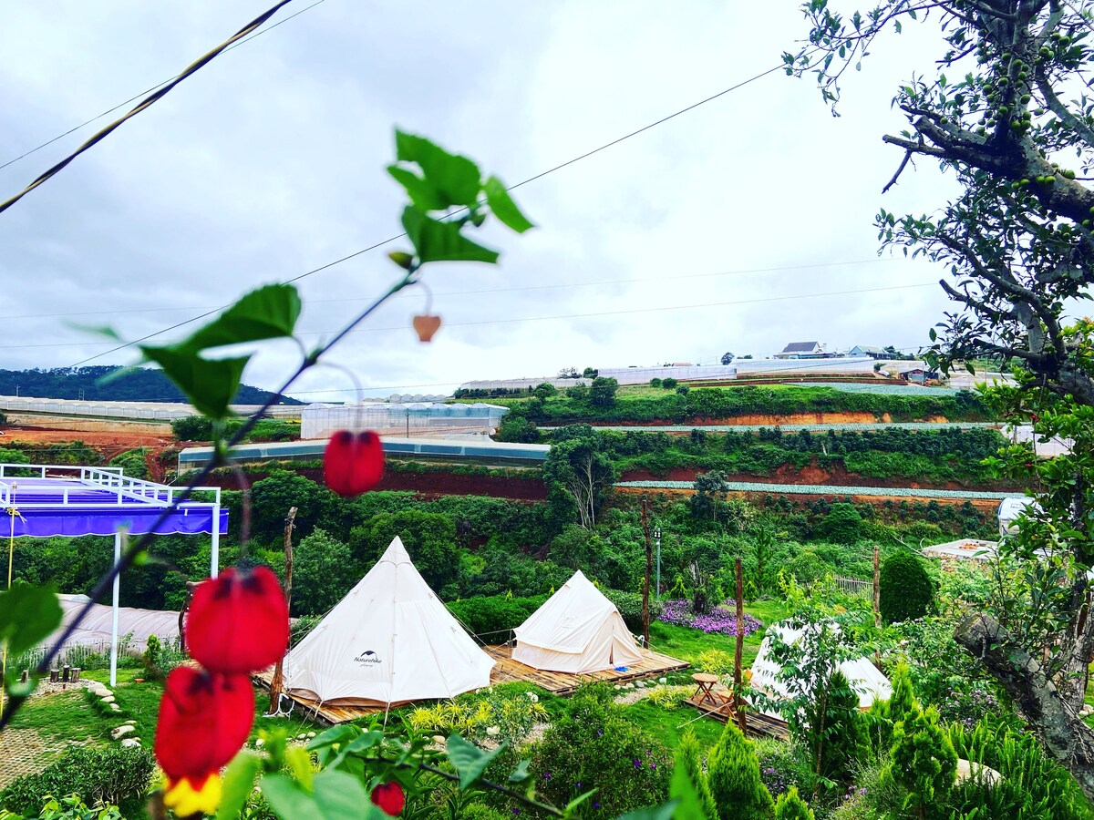 A scenic view of a rural landscape features several glamping tents nestled among greenery. Bright red flowers hang in the foreground, while terraced fields and distant hills create a calm backdrop. The cloudy sky adds a soft light to the serene environment.
