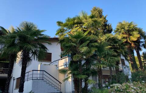 Palm-Topia